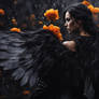Transcendent Wings Mystical Ascension of Angels