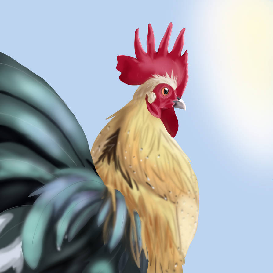 William Riley Chicken Willy the chicken by Patty-Chickens on DeviantArt
