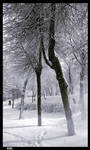 Winter by anothervision