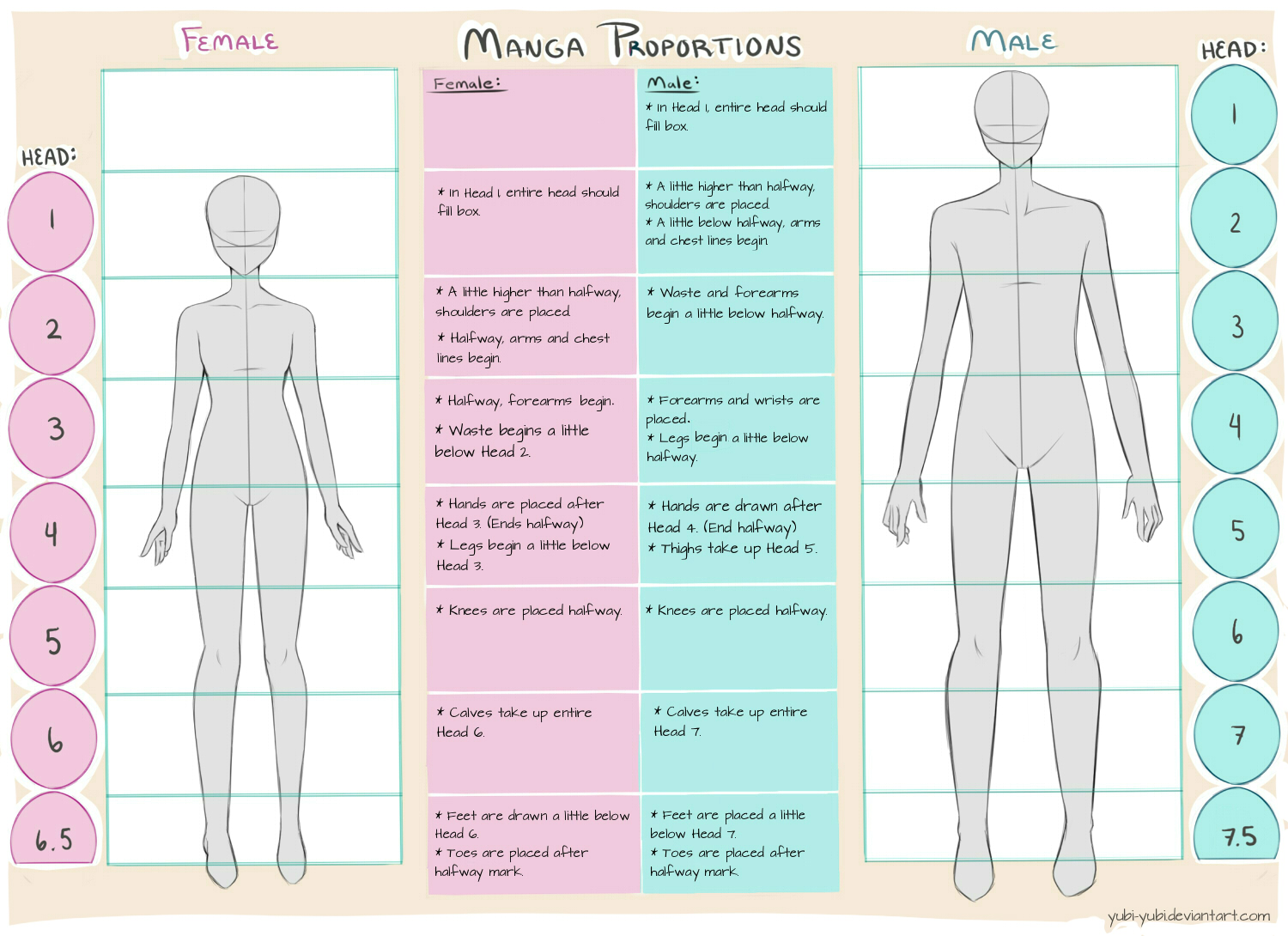 Female and Male Manga Proportion Guide