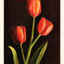 3 tulips