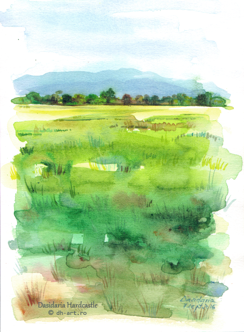 Sketchbook - Marsh