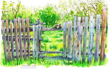 Birds on a fence