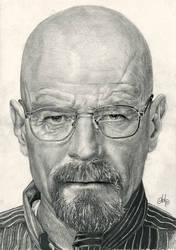 Breaking Bad 01 Walter White