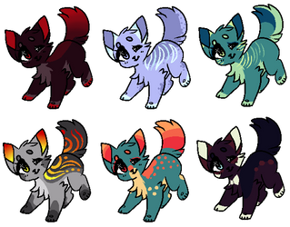 Name Your Price Adopts