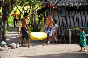 Carrying feeds, Zamboanguita, The Philippines 2010