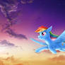 Morning glow and Rainbow Dash