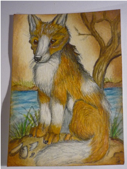 Fuegian dog ACEO by DiardiWolf
