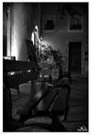 Empty by passionefoto