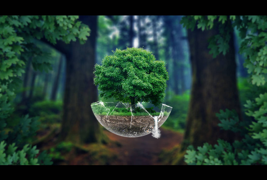 The Tree Sphere | Re-edit. by Ksoi on DeviantArt