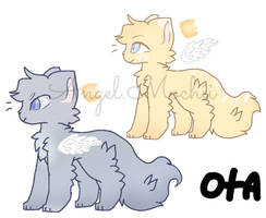 Cat adopts! 