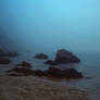 Mists on the beach