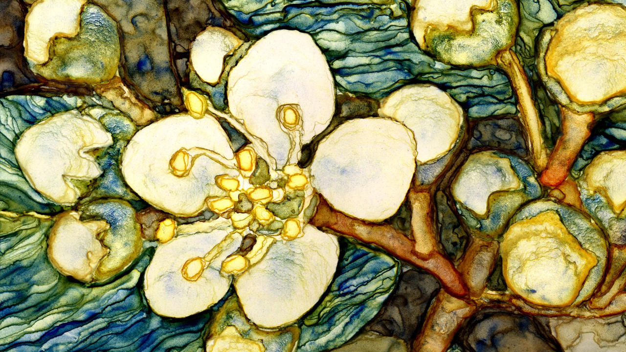 Bluegreen white blossom Detail