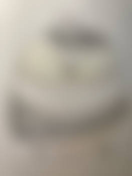 Balloon Specimen 4