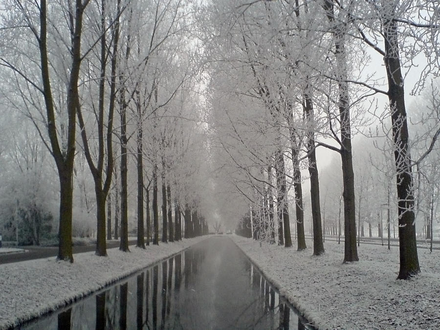 Frosty Canal