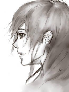 Sideview Practice