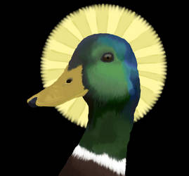 Holy Duck!