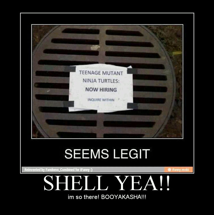 Shell Yea!!