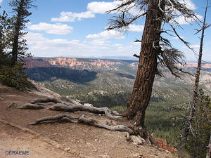 Bryce Canyon 2