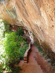 Zion National Park 27