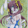 IS Bunny Girl Project: Lin