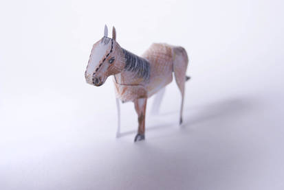 Tiny Paper Zoo - Horse