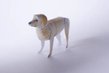 Tiny Paper Zoo - Golden Retriever