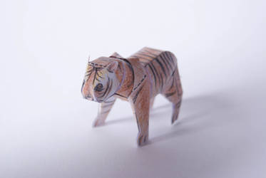 Tiny Paper Zoo - Tiger