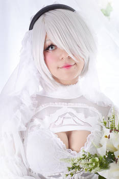 2B Bride