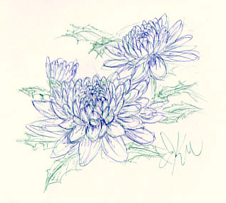 BGDC12 - Purple Chrysanthemums