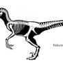 Velociraptor nublarensis 