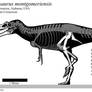 Appalachiosaurus montgomeriensis