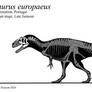 Europes Different Lizard, Allosaurus europaeus 