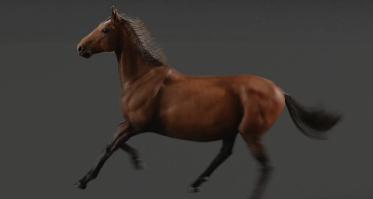 Breakdown Of Realistic Horse Animation by avcgi360 on DeviantArt Breakdown Of Realistic Horse Animation by avcgi360 on DeviantArt