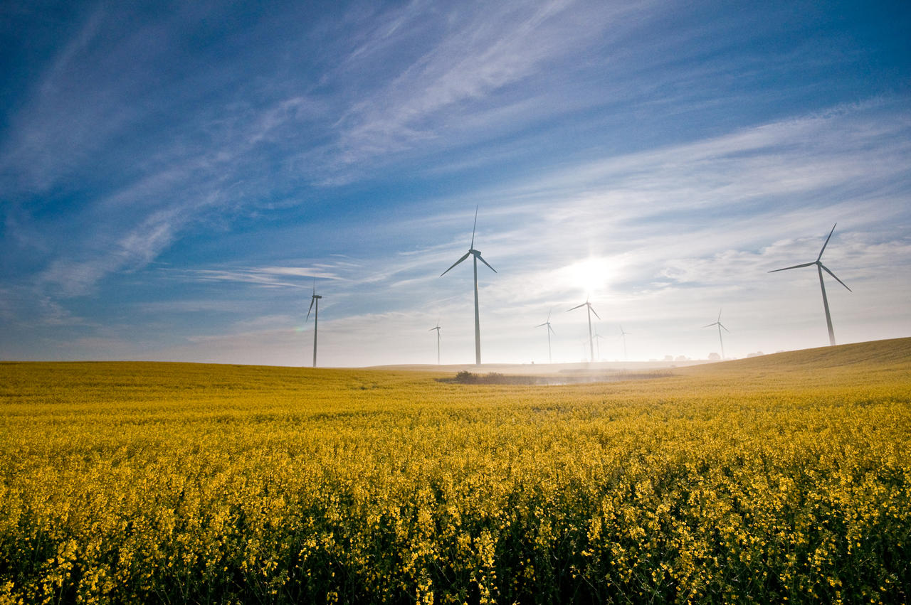 Wind farm