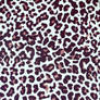 Textura Leopardo -large-