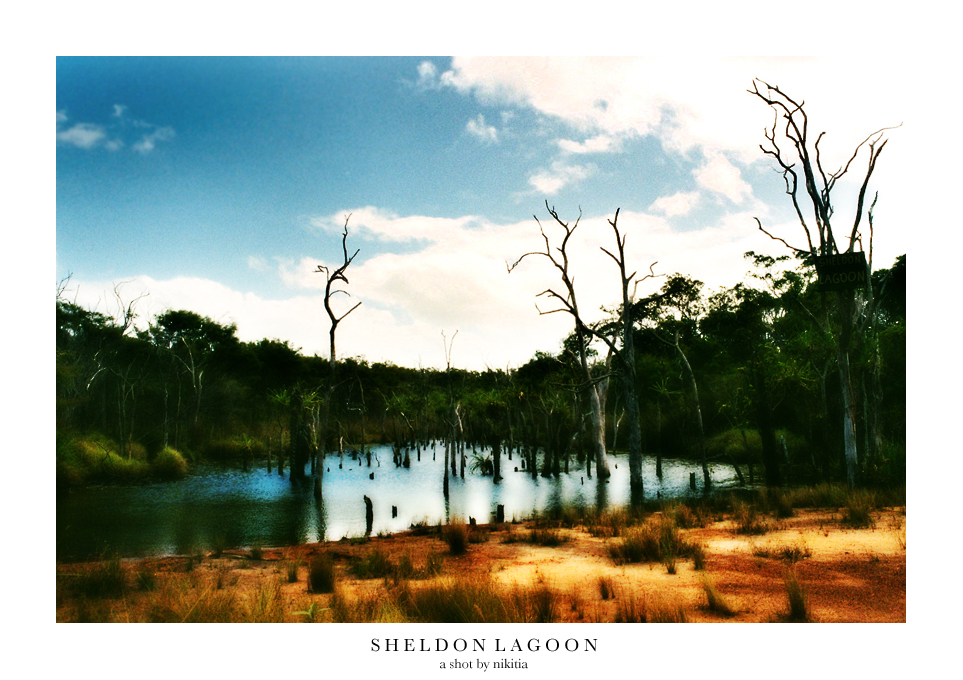 Sheldon Lagoon