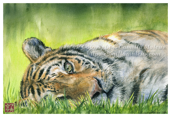Tiger by CamillaMalcus