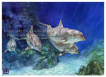 Dolphins by CamillaMalcus