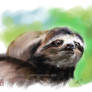 Sloth - speed sketch