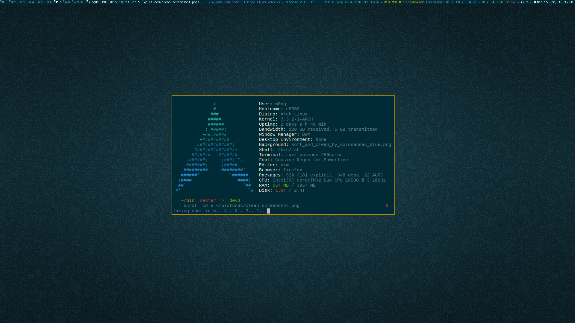 DWM on Archlinux: Solarized (Clean)