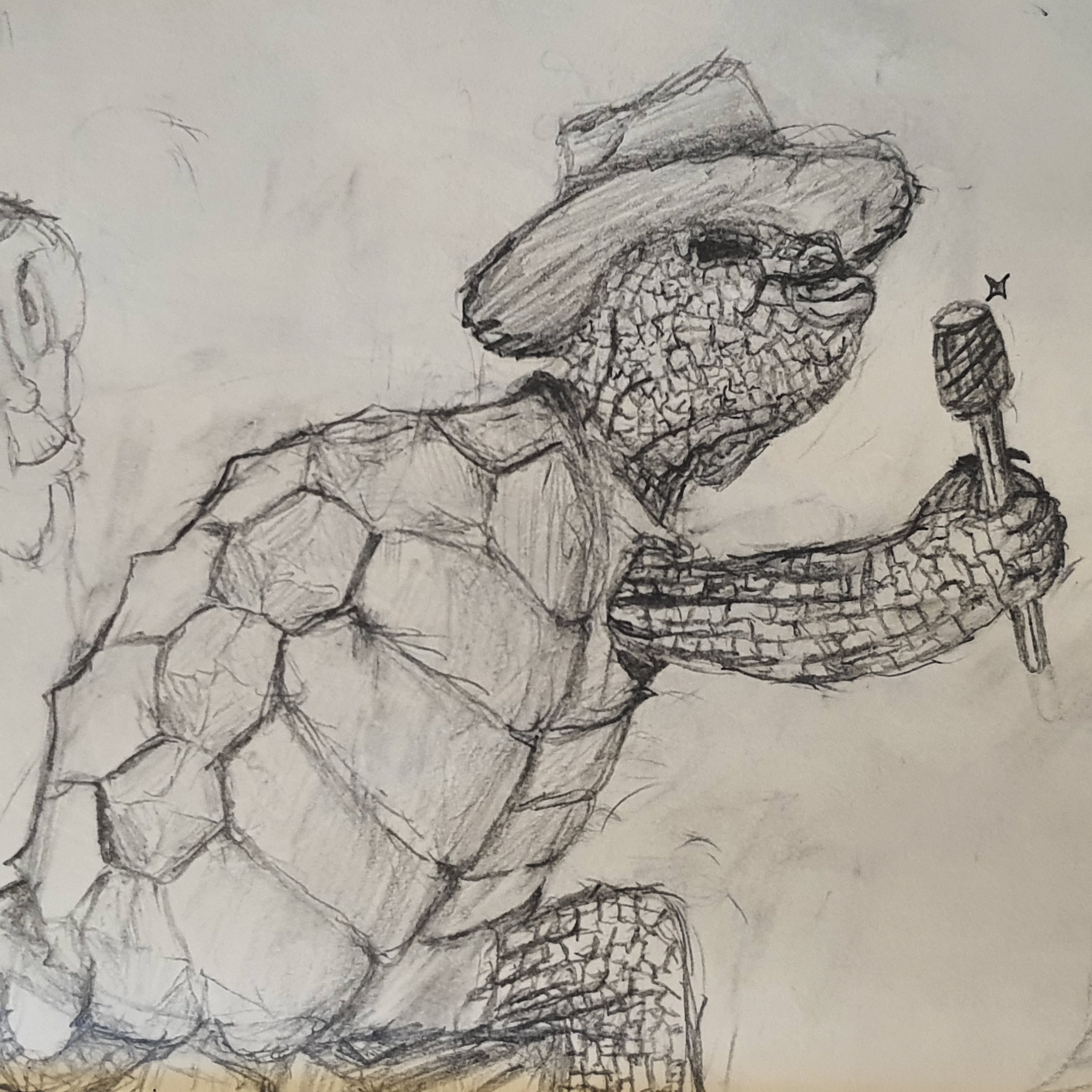 singer turtle by limonatal on DeviantArt