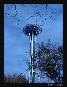 Space Needle