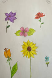 Even More Watercolor Flowers