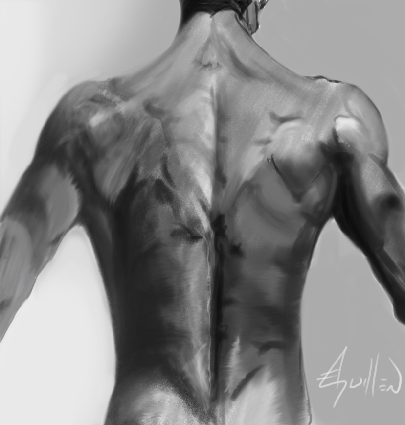 random back study