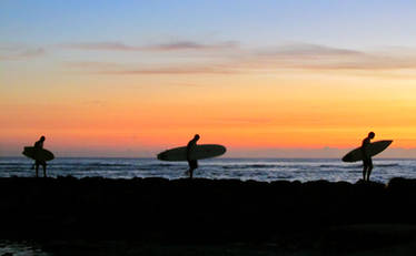 Hawaiian Surfers