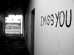I miss you already by theymakestars
