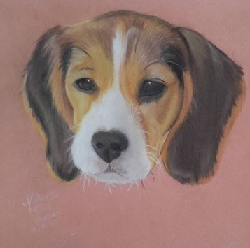 Pastel dog drawing