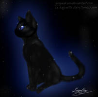 Starlight Cat