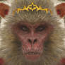 The Monkey King